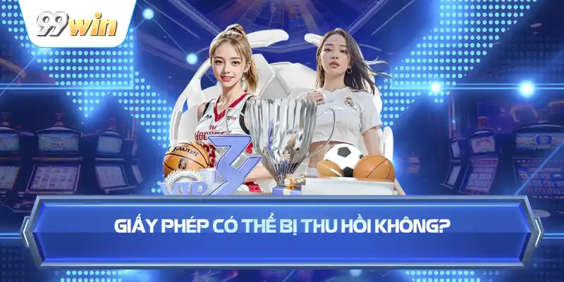 Giấy Phép Có Thể Bị Thu Hồi Không?